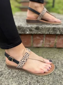 Gina